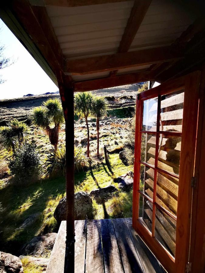 Manaaki Mai, Rustic Retreat Bush Cabin Christchurch Esterno foto