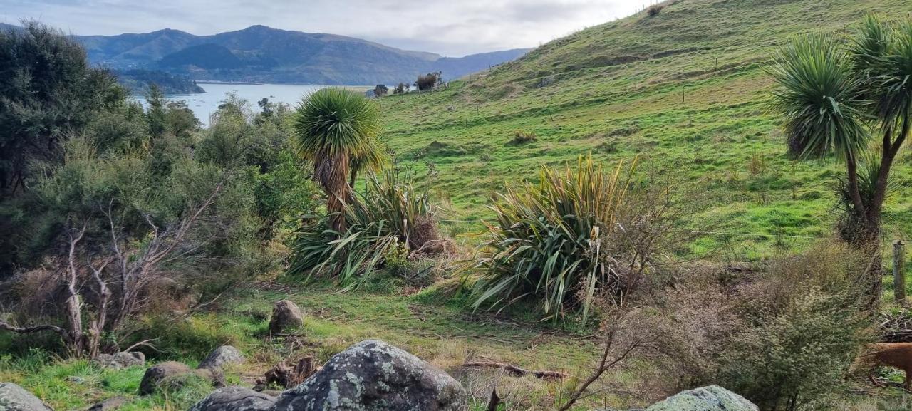 Manaaki Mai, Rustic Retreat Bush Cabin Christchurch Esterno foto