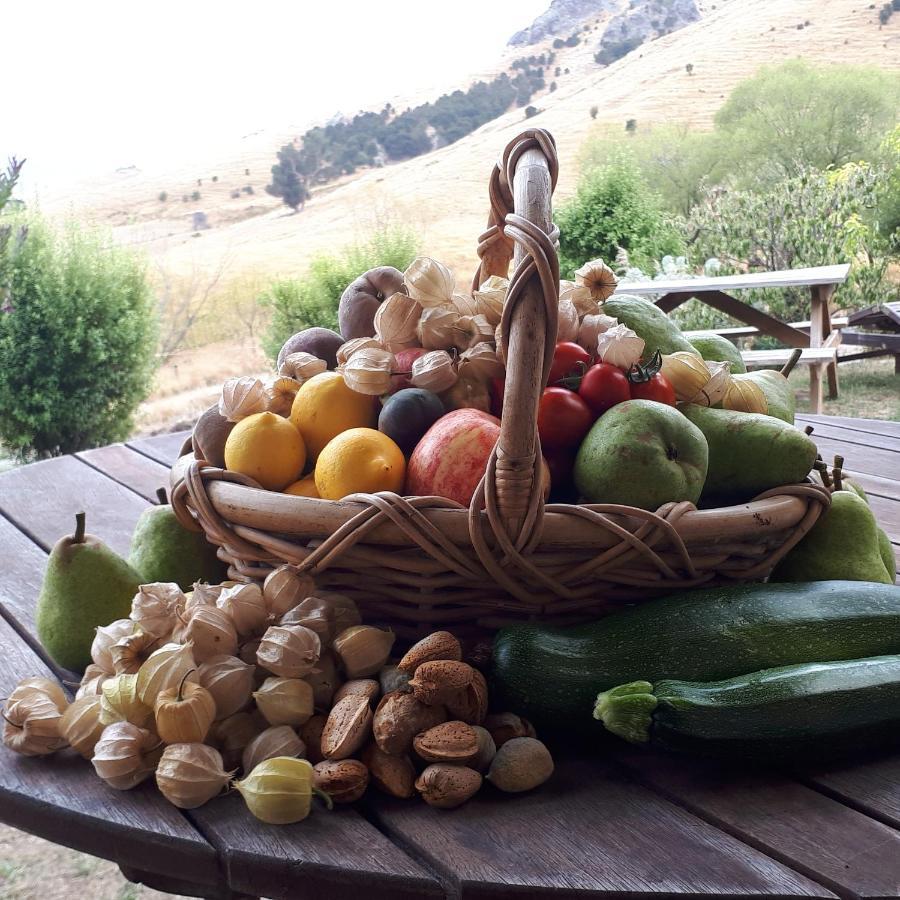 Manaaki Mai, Rustic Retreat Bush Cabin Christchurch Esterno foto