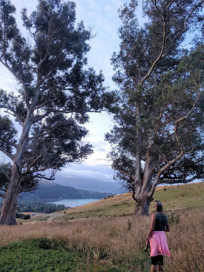 Manaaki Mai, Rustic Retreat Bush Cabin Christchurch Esterno foto